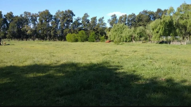 LOTE EN ABASTO